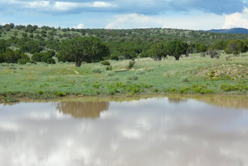 Property photo 6 - 7,320 Acres Offered in 5 Tracts